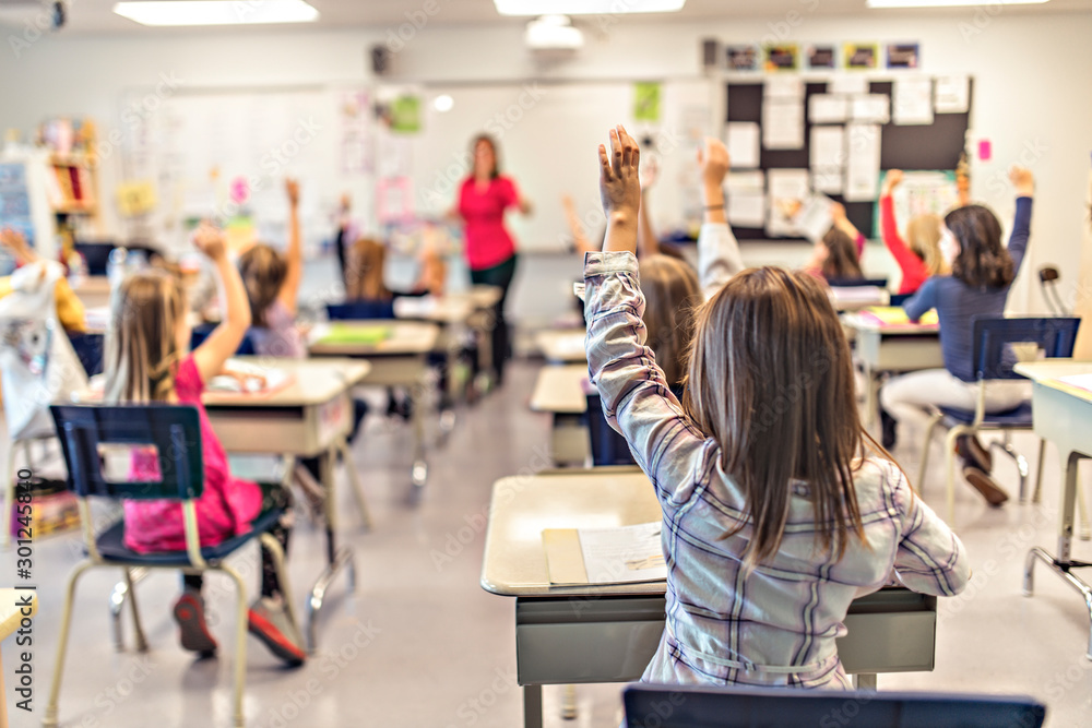 Students in classroom raising hands